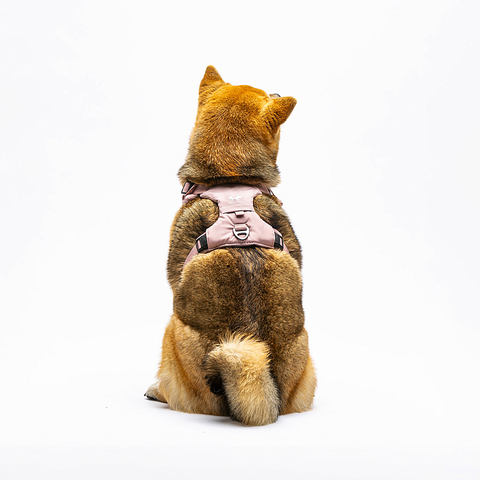 Шлейка United Pets для собак Citylife Y-образная XS 15 x 38-48, пыльная роза