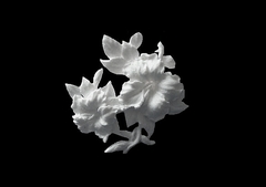 Силиконовый молд 