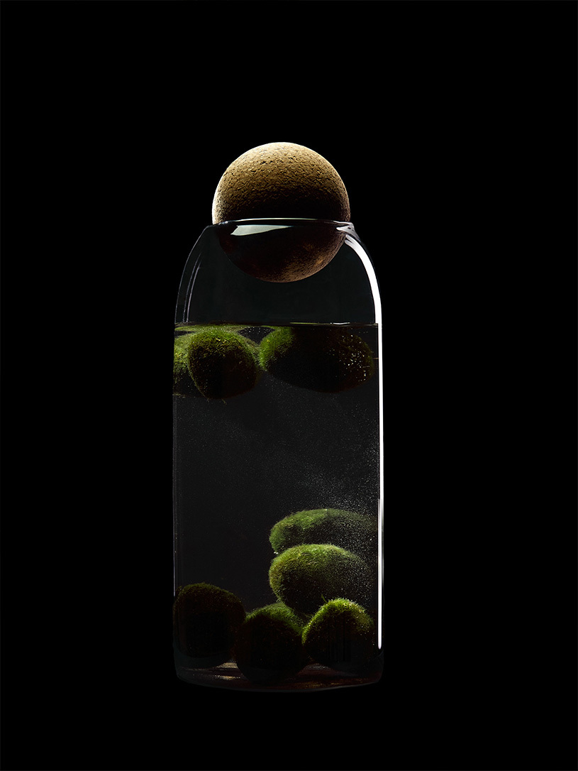 Moss ball pet в бутылке / мини аквариум HEIS. Флорариумы и экосистемы
