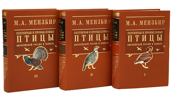 Мензбир М. А. Охотничьи и промысловые птицы Европейской России и Кавказа