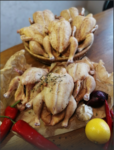 Цыплята тапака,молодые (корнишоны)