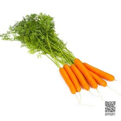 Джерада F1 семена моркови нантской (Rijk Zwaan / Райк Цваан)