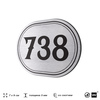 Номерок на дверь квартиры 738, для кабинета, офиса, шильдик 9 х 7 см, серебристый, Айдентика Технолоджи