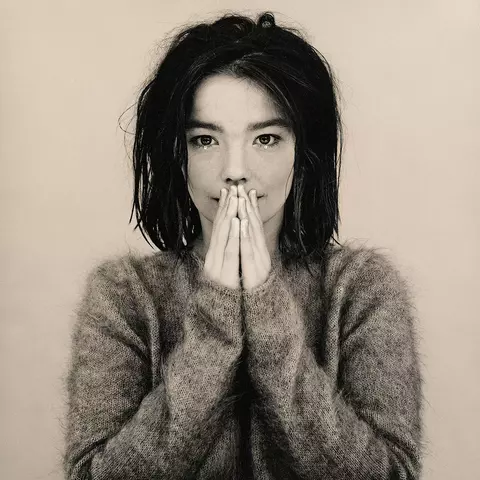 Виниловая пластинка. Bjork – Debut