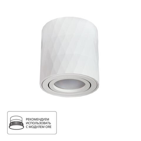 Накладной светильник Arte Lamp FANG A5559PL-1WH