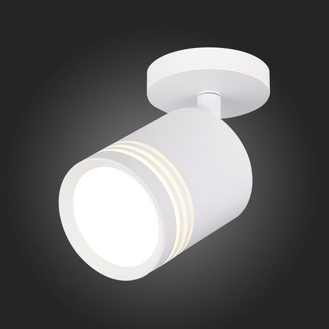 Светильник потолочный ST Luce Cerione ST101.572.05