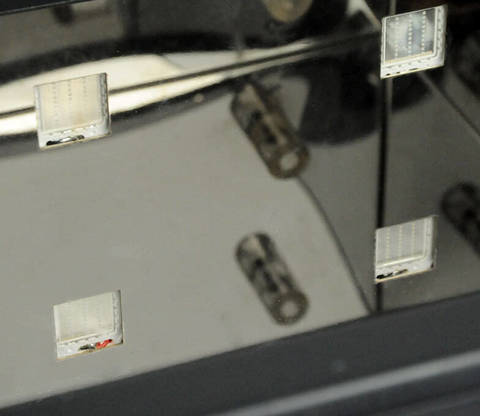 УФ-камера для дополнительного отверждения моделей Wanhao Boxman-1