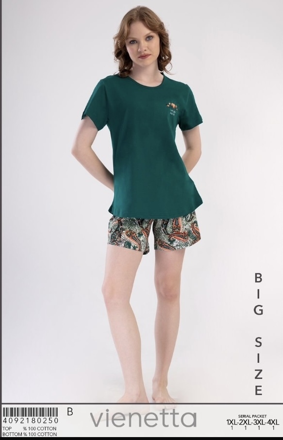1Xl 2X 3Xl 4Xl