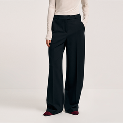 Брюки BAS.Ш20.153 Alpecora