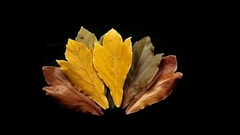 Силиконовый молд 