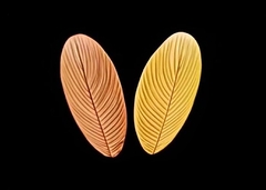 Силиконовый молд 