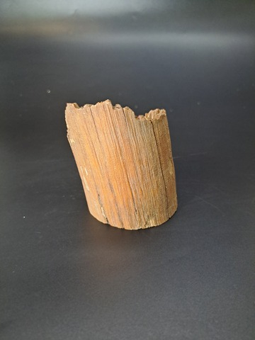 Бивень мамонта для коллекции