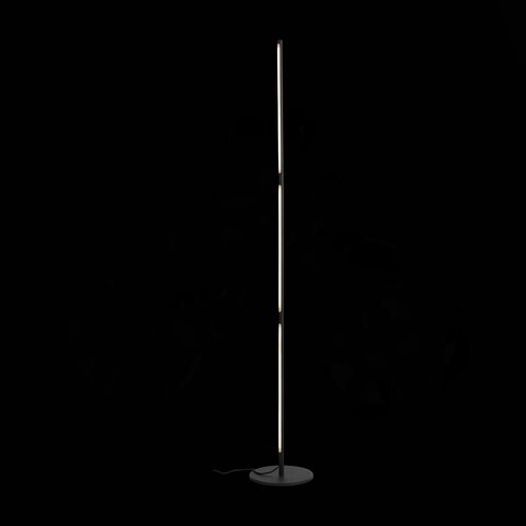 Торшер ST Luce Ralio SL1580.405.01