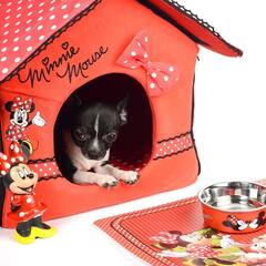 Triol домик для животных Disney Minnie, 500*400*400мм