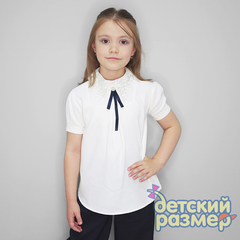 Блузка (шифон, кружево, брошь)