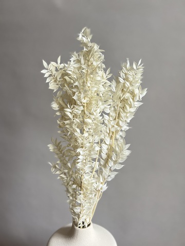 Рускус выбеленный