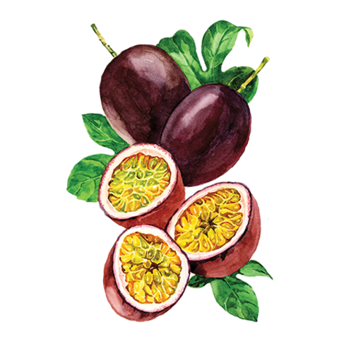 Сироп Маракуйя ProffSyrup