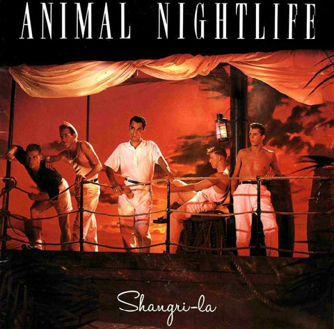 Vynil Animal Nightlife. Shangri-La
