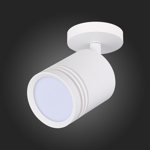 Светильник потолочный ST Luce Cerione ST101.572.05
