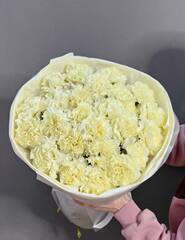 Букет из 25 лимонных диантусов