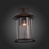 Светильник уличный ST Luce Lastero SL080.401.01