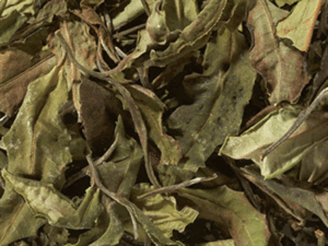 Белый чай Малави Тиоло Пион
