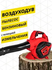 Воздуходув бензиновый DDE VB 60 S (26 см3, 1,1 кВт/ 1,5 л.с., 580 м3/ч, 68 м/с, 6,3 кг) 909-761