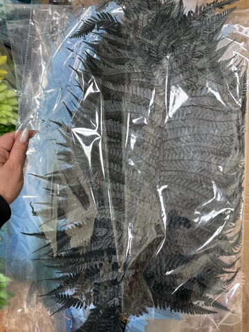 Листья папоротника большие 60-70см Графитово-черный (10 шт упаковка)