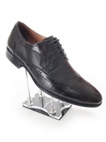 Туфли мужские демисезонные GRAND GUDINI 6074A-D24-A006