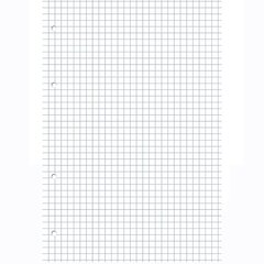 
          Сменный блок 100л., А4, клетка, офсет 60г/м2, белый блок