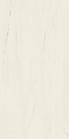 Atlas Concorde Marvel Stone Bianco Dolomite 60x120