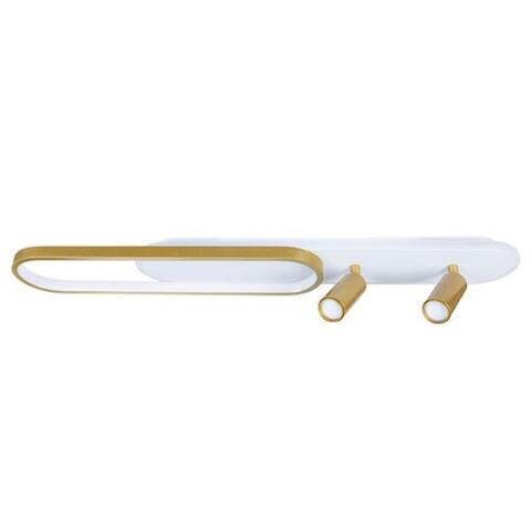 Настенно-потолочный светодиодный светильник Arte Lamp LUCAS A2600PL-32GO