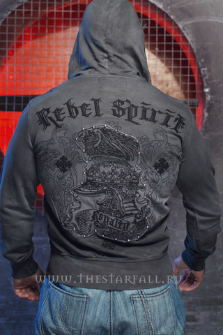 Rebel Spirit | Худи мужское FTZH121375 спина на модели