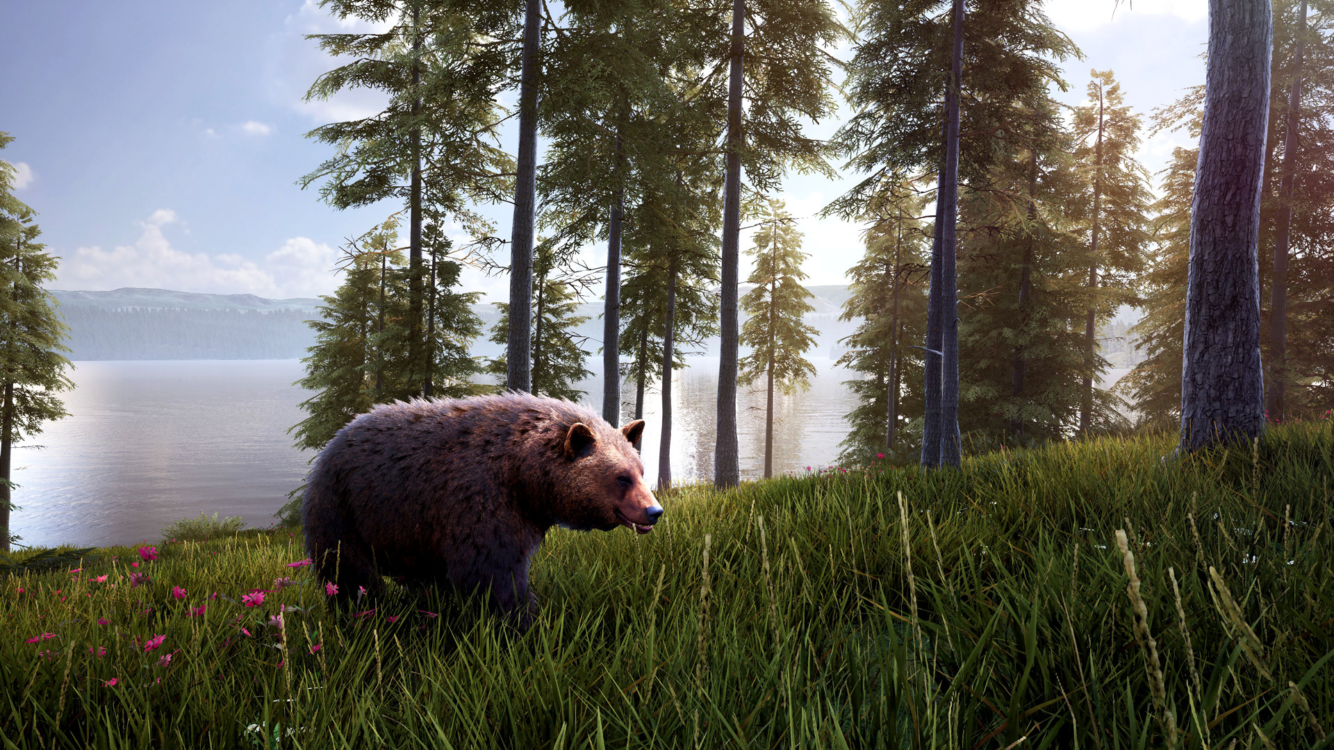 Hunting Simulator 2: Bear Hunter Edition (для ПК, цифровой код доступа)–  купить в интернет-магазине, цена, заказ online