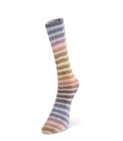 Laines Du Nord Paint Sock 070