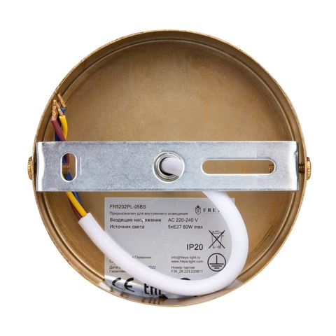 Потолочная люстра Freya Camelia FR5202PL-05BS