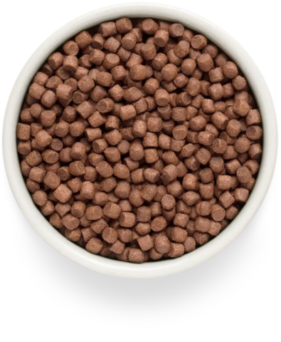 PREMIER Свежее мясо ягненка с индейкой для взрослых собак мелких пород