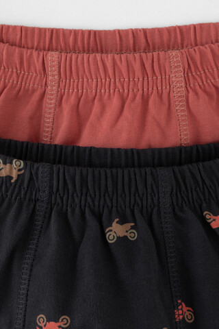 трусы/ уп  для мальчика  К 1912-2уп/пыльный кедр,угольный серый,мотоциклы