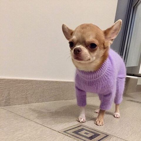 1764 DB Комбинезон "Норка"