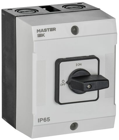 Перекл. кулачк. в боксе станд. рук. 10А сх. 90 MASTER IEK