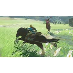 The Legend of Zelda Breath of the Wild NS