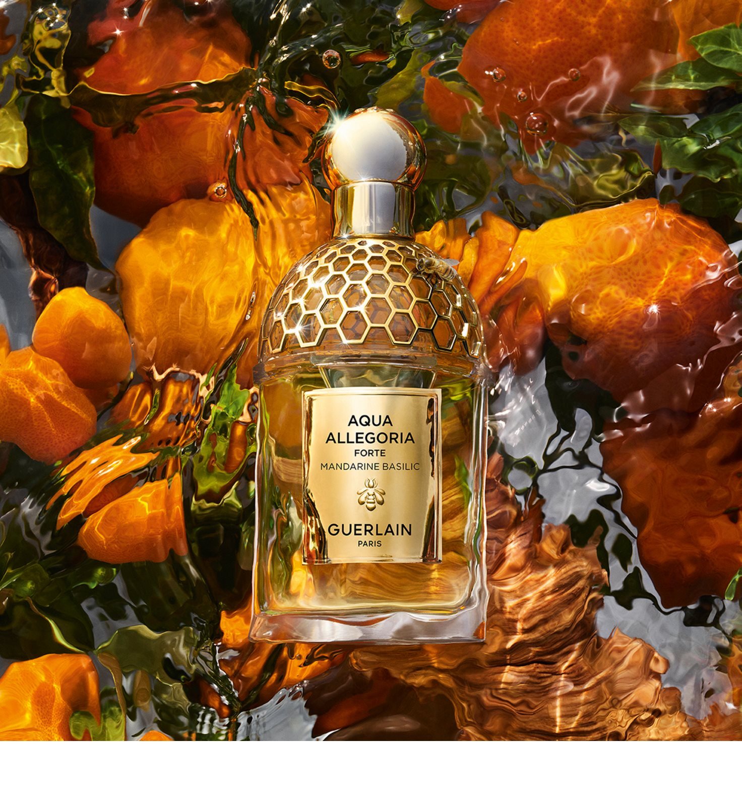 GUERLAIN Aqua Allegoria Mandarine Basilic Forte парфюмированная вода для  женщин купить в Москве | Доставка по России.