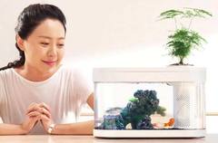 Акваферма 10 л (фильтр, крышка, грунт) Xiaomi Geometry Fish Tank Aquaponics Ecosystem (HF-JHYG001)