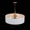 Люстра подвесная ST Luce Delavera SL336.303.05