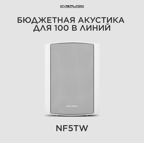 CVGAUDIO NF5TW Настенная Public Address акустическая система 100V