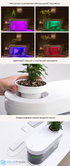 Акваферма 10 л (фильтр, крышка, грунт) Xiaomi Geometry Fish Tank Aquaponics Ecosystem (HF-JHYG001)