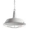 Подвес Arte Lamp Pandora A9183SP-1WG