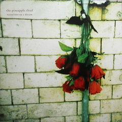 The Pineapple Thief / Variations On A Dream (2LP)