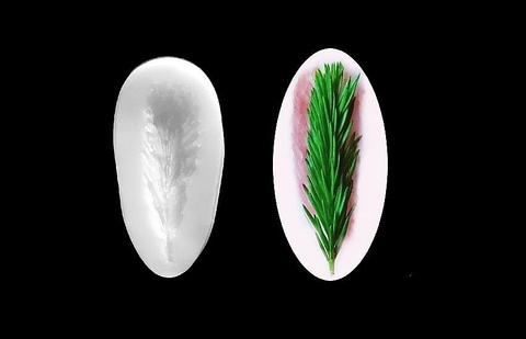 Силиконовый молд 