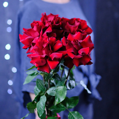 Букет французских роз Red 5 шт.